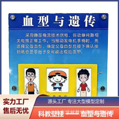 血型与遗传科教壁挂墙面互动智慧走廊科普仪器校园科技馆科普产品