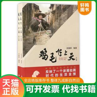正版速发9787213079481 鸡毛飞上天 下册 何赛阳 浙江人民出版社