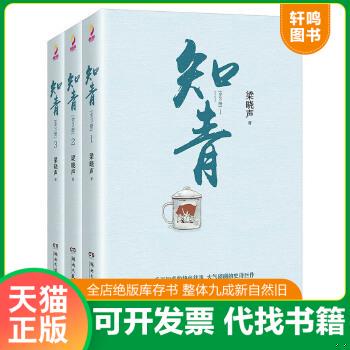 现货正版9787540483821  知青（梁晓声经典文学作品全3册）