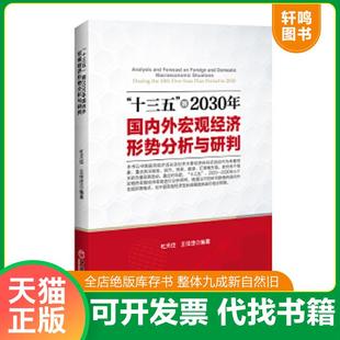 到2030年国内外宏观经济形势分析与研判 十三五 杜天佳 王佳佳编著 社 正版 中国经济出版 速发9787513643337