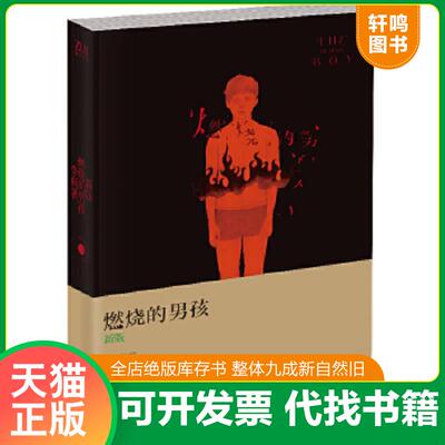 正版速发9787535466266 燃烧的男孩 李枫 长江文艺出版社