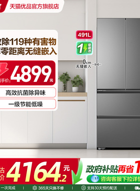 Haier/海尔 BCD-491WGHFDB5BFU1灰 冰箱