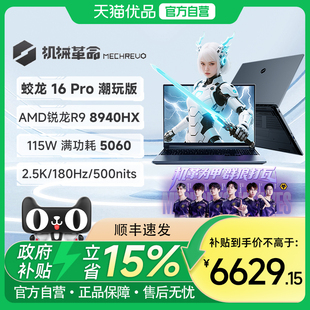 机械革命 蛟龙16Pro 潮玩版锐龙9 8940HX 16英寸RTX5060笔记本电脑游戏本锐龙电竞本学生官方旗舰