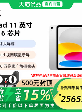 Apple/苹果 iPad 2025 iPad 11英寸 平板电脑 A16芯片