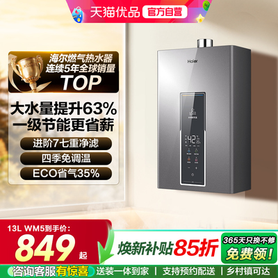 海尔燃气热水器官方正品WM5节能