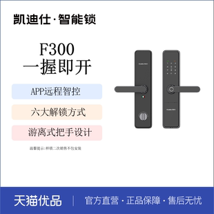 凯迪仕指纹锁F300入户门电子锁智能门锁密码 锁家用防盗门锁入户门
