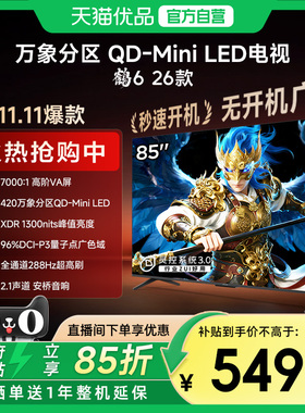 雷鸟鹤6 26款 85英寸MiniLED分区4K 288Hz超高刷平板电视机85R69A