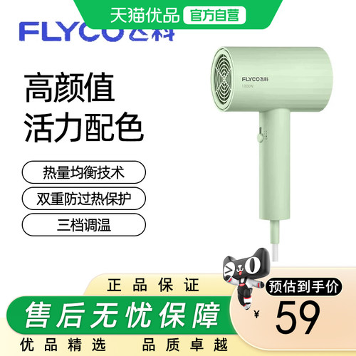 飞科家用大风力护发FH6296电吹风