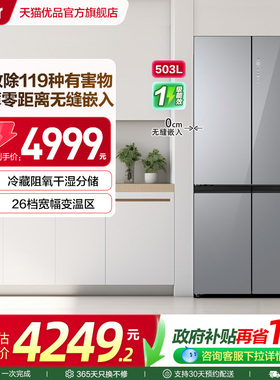 Haier/海尔 BCD-503WGHTD45ASU1灰 冰箱