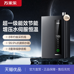 [政府补贴]万家乐JSLQ22-13RU5（F）节能王燃气热水器1级能效伺服