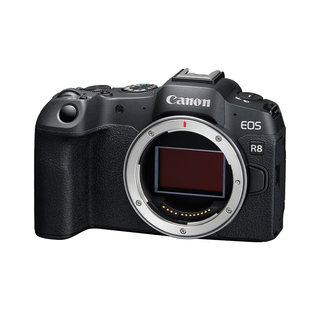 佳能 EOS 套机 Canon 机身 全画幅专业微单高速连拍 天猫自营