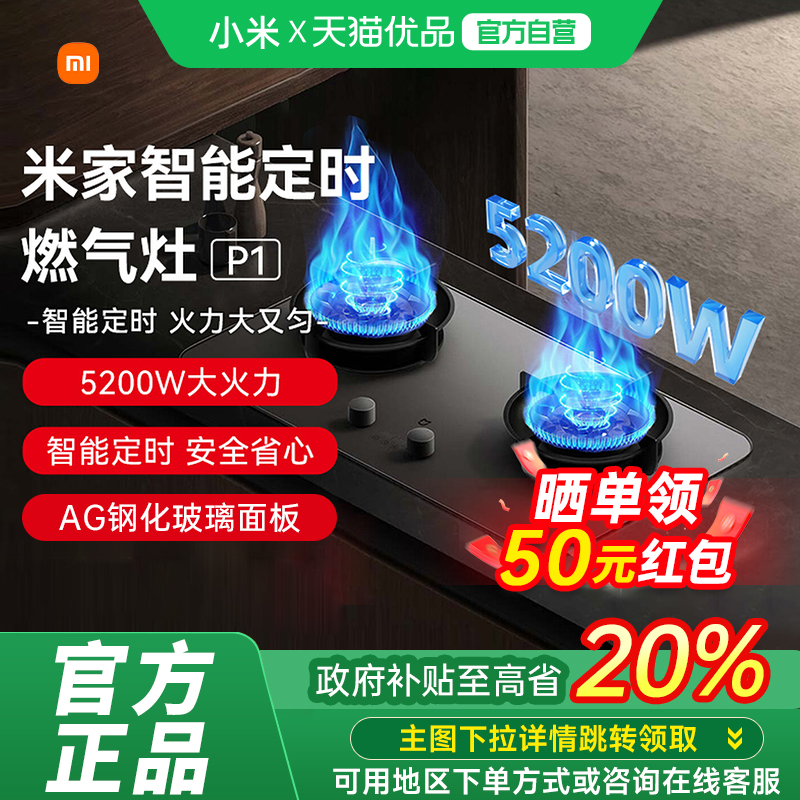 小米米家双边定时燃气灶P1天然气灶猛火灶台嵌入两用
