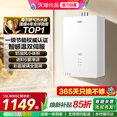 海尔燃气热水器官方正品WM5C节能