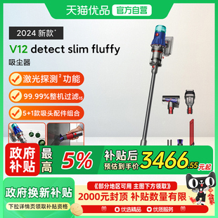 Fluffy轻量无线吸尘器家用大吸力 Dyson戴森V12 政府补贴15%