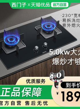 SIEMENS/西门子一级能效5.0kW大火力易拆洗燃气灶JZT-ERJA8A3BMP