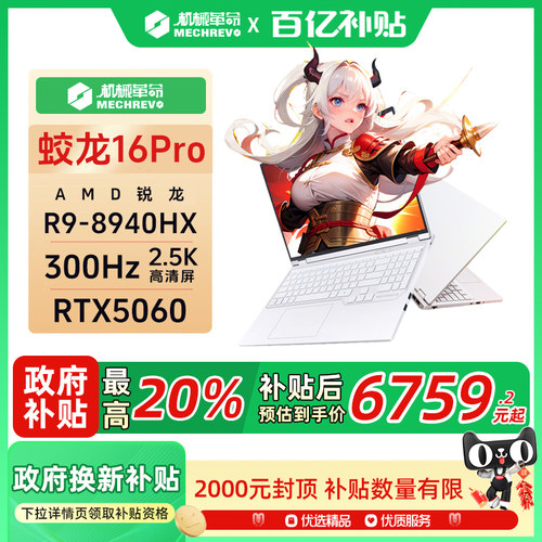 机械革命蛟龙16ProRTX5060