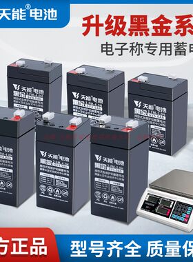 天能电池4v4ah20HR商用电子秤摆摊水果店盘秤台称6v4.5ah童车电瓶