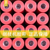 番茄PVC绑枝机胶带机器西红柿葡萄结束捆绳圣女果磨砂专用绑枝带