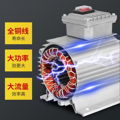 新品五金电动抽油泵12v24v22z0v柴油泵小型抽油机自吸泵加油加油