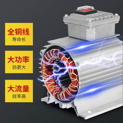 新品五金电动抽油泵12v24v22z0v柴油泵小型抽油机自吸泵加油加油