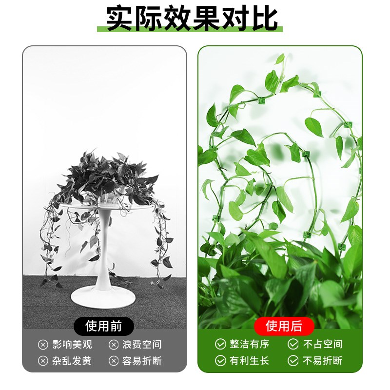 极速绿萝爬上神器爬墙上绿箩x固定器绿植攀爬夹子墙上挂钩粘爬藤
