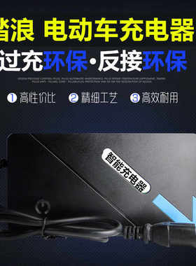 新品踏浪电动车电瓶充电器36V48V12AH60V20AH64V72PV30AH35AH50AH