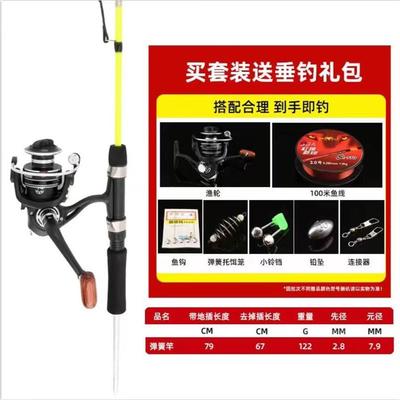 极速淮滨县老沐渔具店2B023新款自动钓鱼弹簧竿