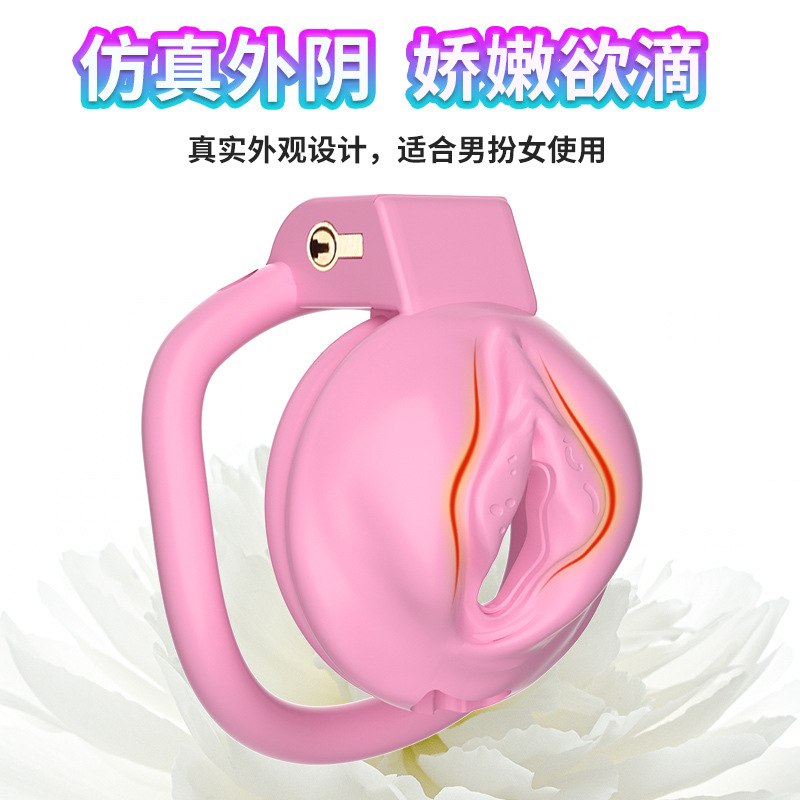 伪娘仿阴假阴贞操锁禁欲戒撸锅盖平板鸟笼男用JJ锁防逃脱贞洁CB锁