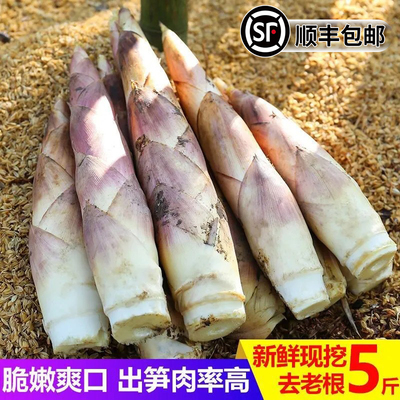【顺丰包邮】雷竹笋新鲜春笋鲜竹笋现挖新鲜小笋尖油焖笋农家蔬菜