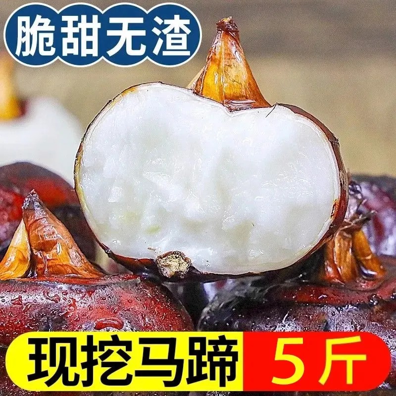 【脆甜无渣】新鲜荸荠马蹄地栗多汁地梨蔬菜现挖农家水果整箱大果