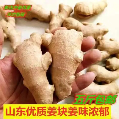 山东精选水洗风干大姜黄月
