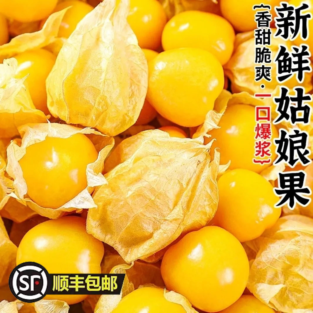 太守府东北姑娘果黄姑娘果