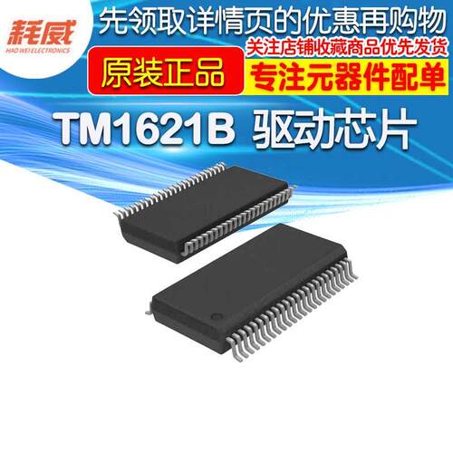 全新原装 TM1621B TM1621 贴片SSOP48 替代HT1621 数码管驱动芯片