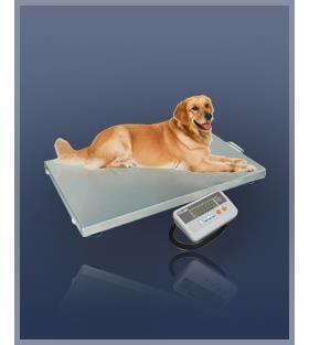 台湾仪表电池新款上市小型优质惠尔邦M901动物秤电子台秤150kg