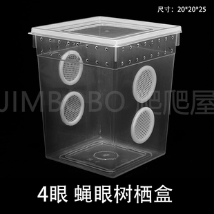 蝇眼爬虫饲养盒睫角守宫盖勾亚R属巨人守宫饲养箱通风改造人渣盒