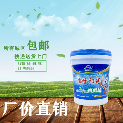 木工胶水木胶水强力胶粘木头的专用胶家具实木木板胶白乳胶大桶装