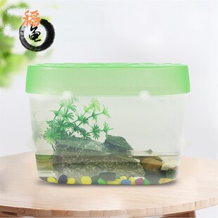 小鱼缸乌龟缸迷你宠物饲养盒儿童手提塑料幼儿园小朋友养蝌蚪小号