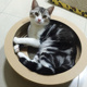 猫窝猫玩具耐磨猫咪猫抓板碗型猫爪板猫碗新品 新款 小号瓦楞纸 包邮