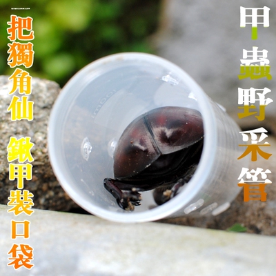 昆虫采集瓶户外捕捉蚊虫收纳瓶爬虫观察瓶野外活虫采集管养虫管