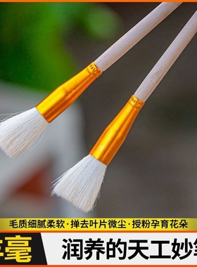 人工授粉笔授粉器草莓多肉西红柿无花果树授粉神器花粉点花授粉刷