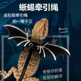 鬓狮蜥蜴牵引绳分体背心爬虫蓝舌守宫外出胸背带防逃遛变色龙绳子