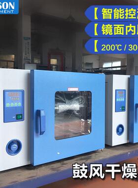 DHG-9013AS电热恒温鼓风干燥箱200℃250℃300℃