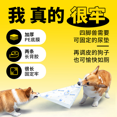 狗狗尿垫宠物尿片加厚幼猫护理垫狗窝尿布一次性狗笼隔尿垫尿不湿