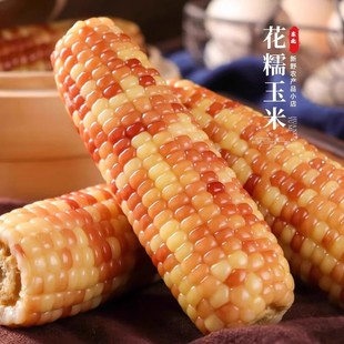 东北花糯玉米棒10棒花苞米现摘真空包装新货新鲜甜玉米粒粘非即食