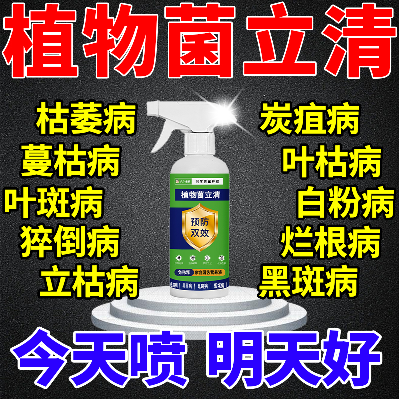植物菌立清黄叶枯叶烂根专用药杀菌剂花卉月季桂花兰花焦尖营养液