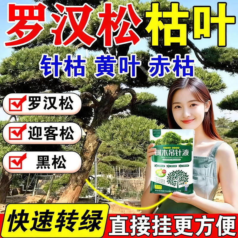 罗汉松专用营养液黄枯叶烂根病药杀菌剂澳洲杉发财平安桂花树肥料