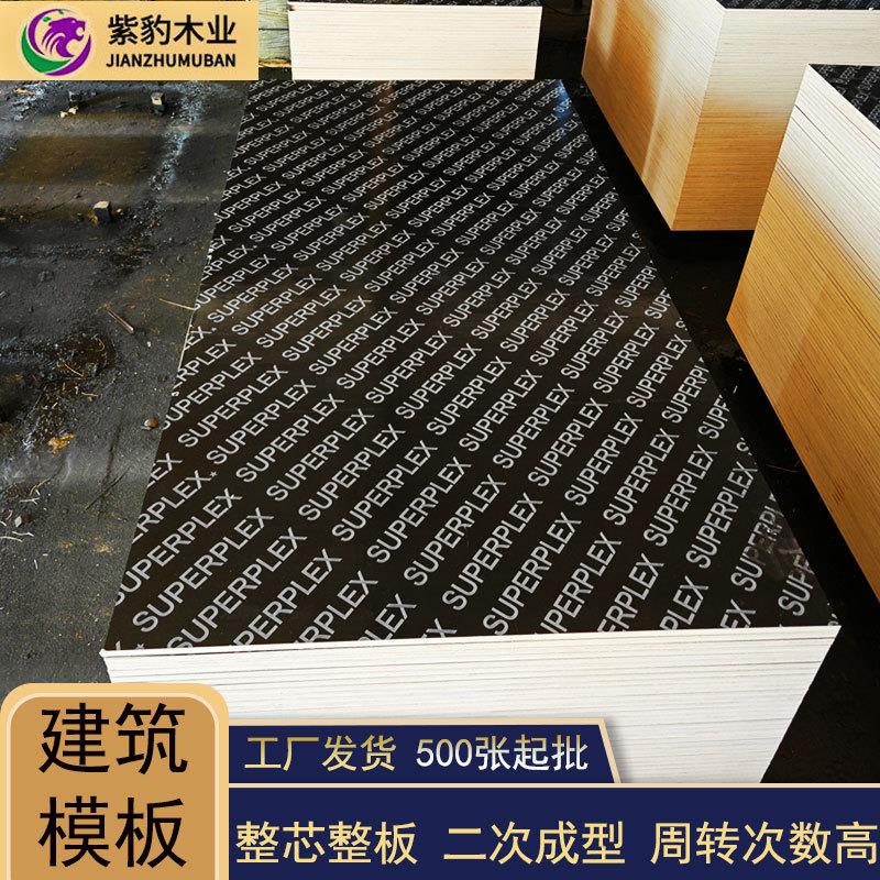 桥梁工程小黑板清水板建筑模板菲林板带英文字母黑色覆膜板