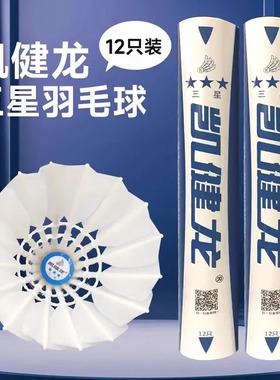 优个 凯健龙羽毛球二星三星K3羽毛球额毛球耐打稳定业余训练用球