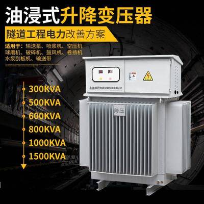 水利工程隧道升压增压用三相变压器315kva400变1000V630千伏安