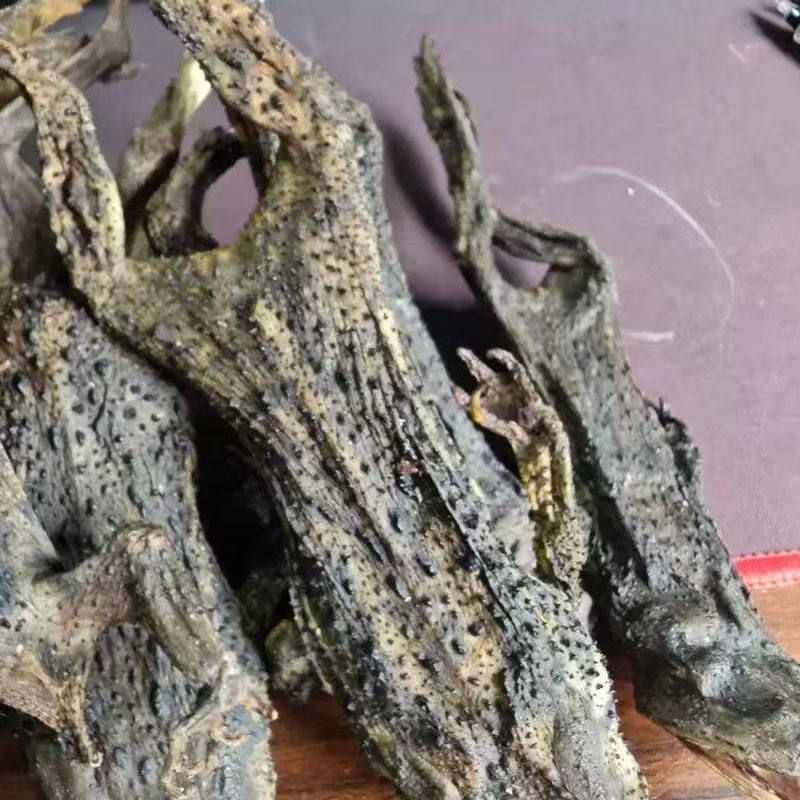 农村常见海蟾蜍干皮蛤蟆干货药用海蟾蜍滋补药品厂家直发特价